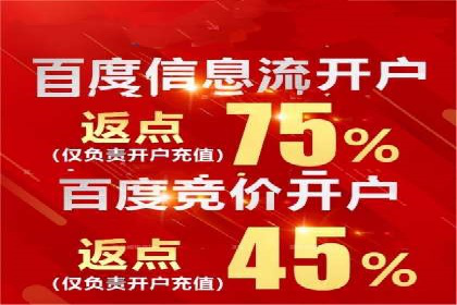 行业新秀如何通过SEM实现快速崛起